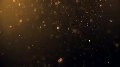 金色粒子飘散背景视频的预览图